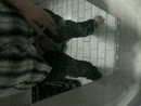 lkkr spuiten, film 00:01:06, 0 reacties, 1 stemmen