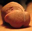 Closeup, foto 1843x1816, 4 reacties, 4 stemmen