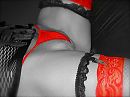 Deep red, foto 1386x1040, 19 reacties, 81 stemmen