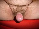 Hei Girls, foto 2816x2112, 0 reacties, 1 stemmen
