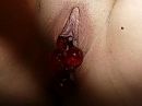 Laat maar horen...., foto 213x159, 0 reacties, 2 stemmen