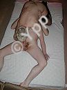 Lekker 69-en, foto 1200x1600, 0 reacties, 6 stemmen