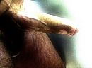 Mooi?, foto 2592x1936, 0 reacties, 2 stemmen