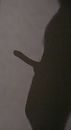 Shadow, foto 1388x2524, 1 reacties, 5 stemmen