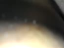 spriets, film 00:00:19, 0 reacties, 2 stemmen