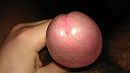 ..., foto 3264x1840, 0 reacties, 2 stemmen