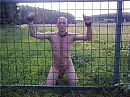 aan hek in weide, foto 640x480, 0 reacties, 4 stemmen