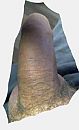 ben weer geil, foto 260x425, 0 reacties, 1 stemmen