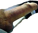 ben weer geil, foto 414x367, 0 reacties, 3 stemmen