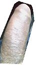 ben weer geil, foto 1181x2126, 0 reacties, 1 stemmen