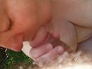 blasen, foto 2048x1536, 1 reacties, 4 stemmen