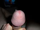 dikke eikel, foto 3648x2736, 0 reacties, 1 stemmen