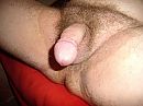 gast, foto 2816x2112, 0 reacties, 4 stemmen