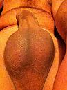 me, foto 480x640, 1 reacties, 2 stemmen