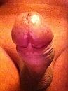 net geschoren, foto 480x640, 0 reacties, 1 stemmen