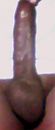 paaltje, foto 353x827, 0 reacties, 1 stemmen