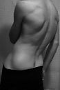 warn hier, foto 255x379, 1 reacties, 4 stemmen