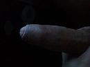 wie komt er mee spelen?, foto 2560x1920, 10 reacties, 12 stemmen