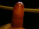 :-), foto 1280x960, 4 reacties, 10 stemmen