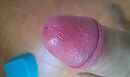 -, foto 3264x1952, 0 reacties, 1 stemmen
