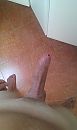 -, foto 1952x3264, 0 reacties, 2 stemmen