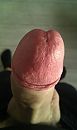 -, foto 1952x3264, 0 reacties, 4 stemmen