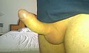 02 Netjes geschoren, foto 1686x1009, 0 reacties, 2 stemmen