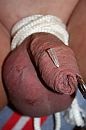 1 naald, foto 1200x1800, 0 reacties, 1 stemmen