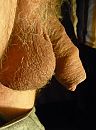 2012012601, foto 1046x1400, 1 reacties, 7 stemmen