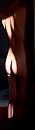 Backside, foto 280x1024, 1 reacties, 7 stemmen