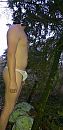 Buiten in witte string, foto 913x1872, 3 reacties, 6 stemmen