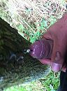 Buiten, foto 1536x2056, 0 reacties, 2 stemmen