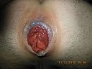 Buttrose, foto 4000x3000, 2 reacties, 19 stemmen