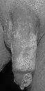 Cleaned........, foto 489x976, 0 reacties, 1 stemmen