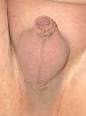Close up, foto 360x480, 0 reacties, 3 stemmen