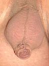 Close up,zoek de verschillen, foto 360x480, 0 reacties, 3 stemmen