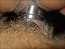 Cockring, foto 2429x1821, 9 reacties, 61 stemmen