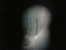 Mijn vrouw onder de douche, film 00:01:54, 0 reacties, 10 stemmen