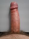 Erect, foto 2976x3968, 5 reacties, 12 stemmen