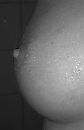 Extreme close up, foto 1024x1569, 2 reacties, 8 stemmen