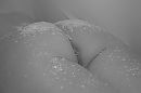 Frosty, foto 854x570, 8 reacties, 29 stemmen