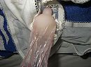 Fun with condoms, foto 2816x2112, 1 reacties, 6 stemmen