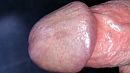 Geile Eikel, foto 4000x2250, 2 reacties, 7 stemmen
