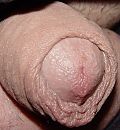 Hallo !!!!!!!, foto 1371x1481, 0 reacties, 3 stemmen