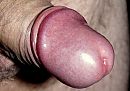 Hé eikel !, foto 489x346, 2 reacties, 3 stemmen