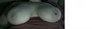 Hmmm grote borsten!, foto 906x295, 0 reacties, 2 stemmen