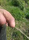 Hoogdringend, foto 1224x1632, 15 reacties, 33 stemmen