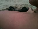lekker aan het strand, film 00:01:36, 4 reacties, 10 stemmen