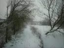 I went for a walk in winter, film 00:03:43, 0 reacties, 4 stemmen