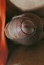Kiekeboe, foto 1478x2152, 0 reacties, 2 stemmen